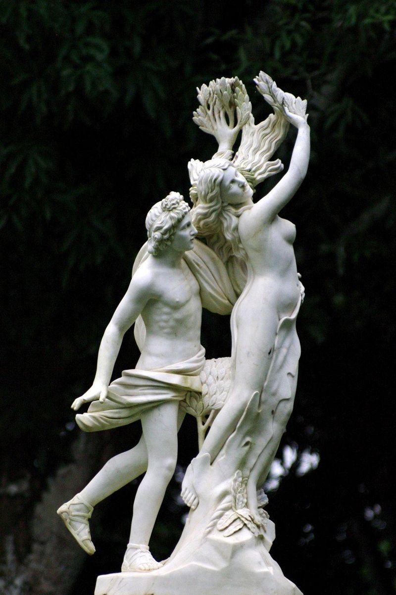 Apollo and Daphne, Bernini (1598-1680)
Photographer Guilherme Jofili
