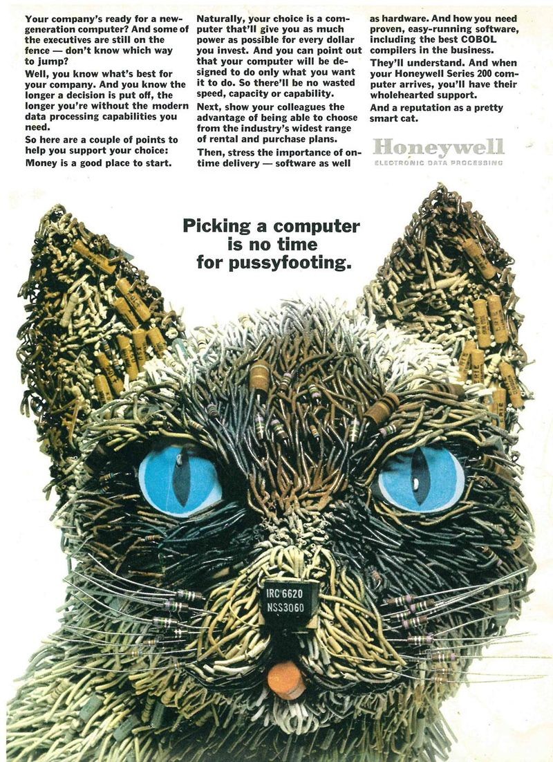 Original Honeywell ad for Amy the Cat