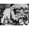 Gordon K. Teal (left) and Morgan Sparks at Bell Laboratories, 1951